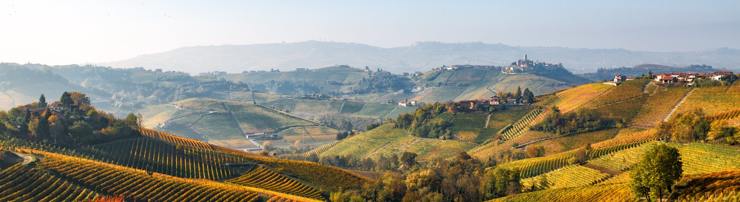 Delizie D'Italia Chi Siamo 1